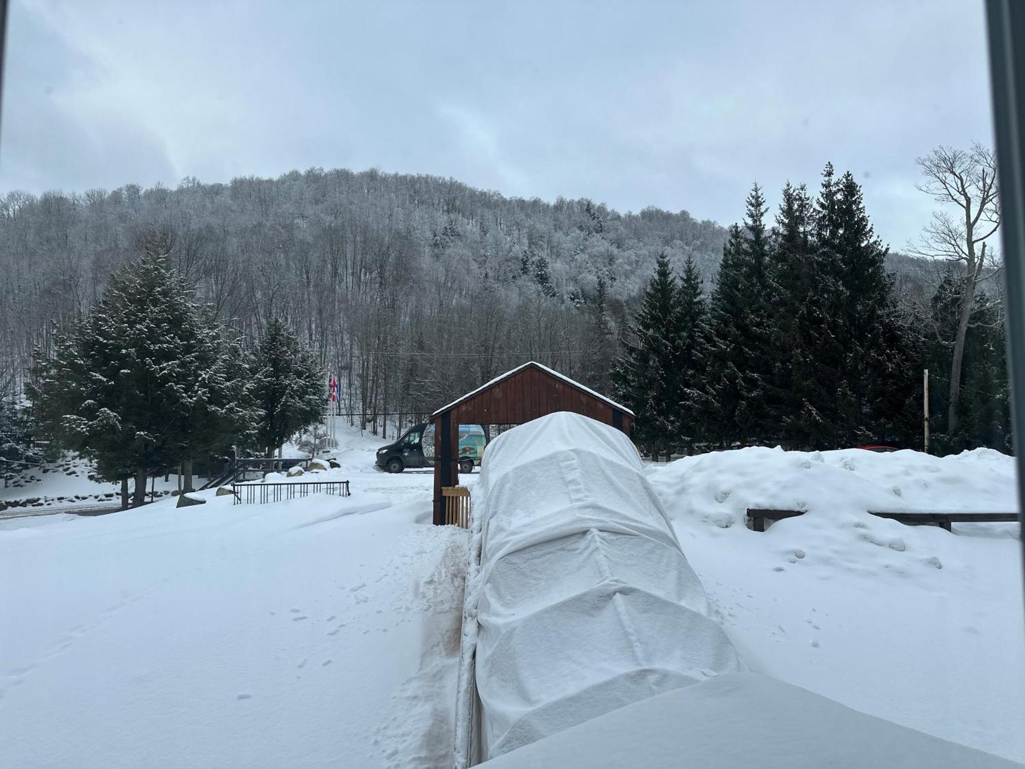 Auberge Morritt Mont-Tremblant Værelse billede
